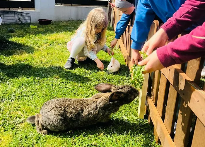 Amber Park 3* Niechorze